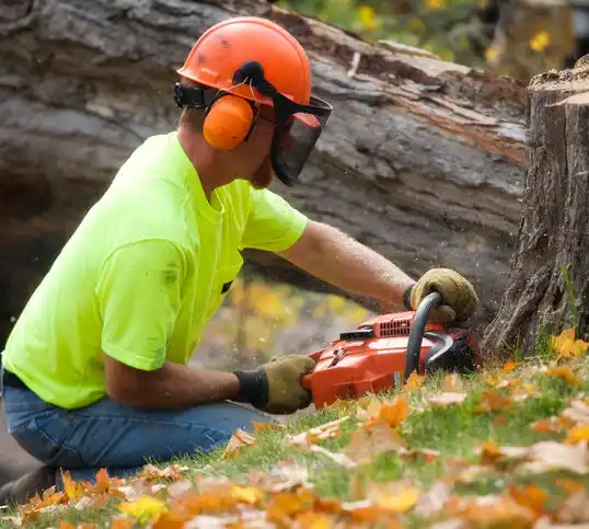 tree services Peculiar